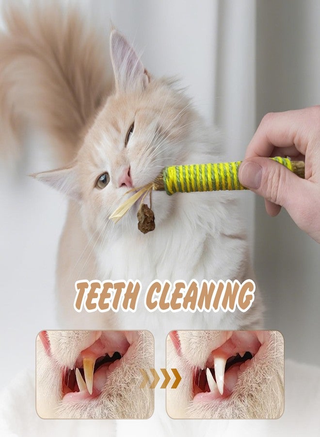 Quacc 4 PCS Silvervine Chew Sticks Natural Silver Vine Sticks Cat Dental Treat Toy for Teeth Cleaning Calm Cat Anxiety Stress - Image 4